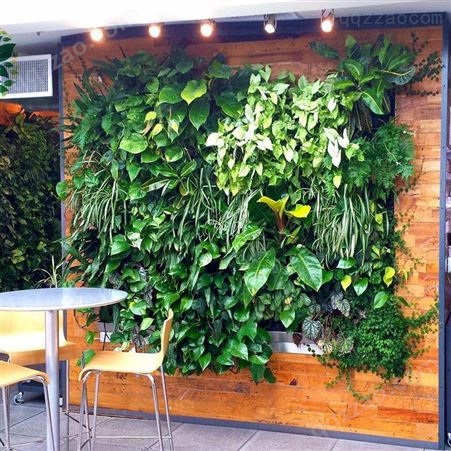 通用型植物墙厂家 植物墙绿植 七里香植物墙  绿色仿真植物墙批发武汉植物墙公司