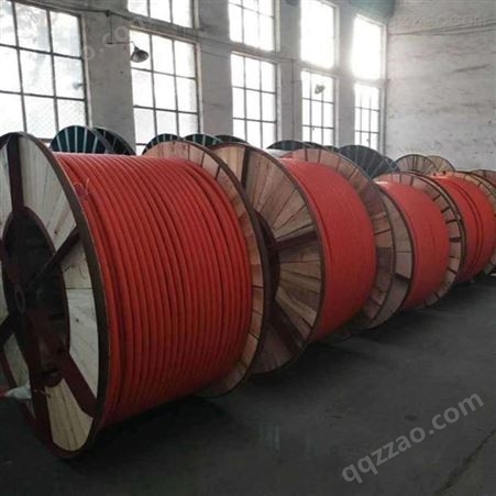  弘泰线缆有限公司 一枝秀 BTTZ刚性矿物质防火电缆