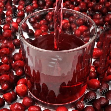 蔓越莓浓缩汁 欧洲进口零添加烘焙餐饮饮料糖果工业果汁原料