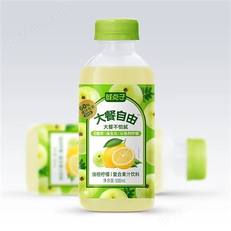 鲜点子大餐自由双柚汁复合果汁饮料500ml招商代理