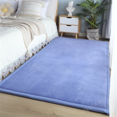 珊瑚绒加厚床边毯现代简约卧室客厅茶几沙发满铺床边飘窗长地毯