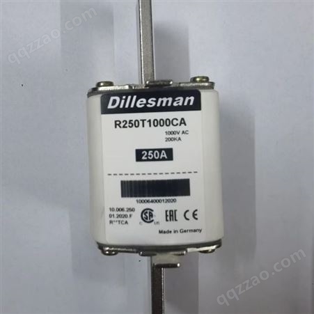 R400T1000CA 熔断器 德国 Dillesman 迪勒斯曼