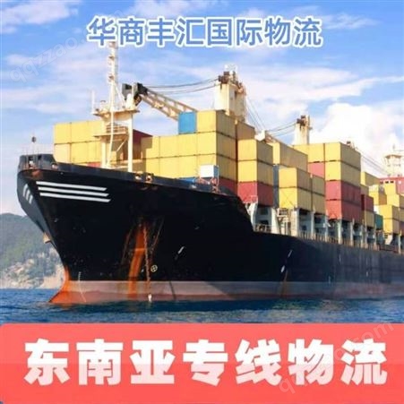 东南亚货运代理公司 国际货运物流专线双清包税到门