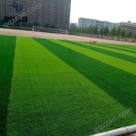 隆胜体育  足球场草坪 足球场人造草坪 幼儿园足球场人造草坪