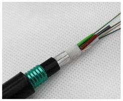 移动24芯室外光缆铠装层绞式单模光纤GYTA53-24B光缆线双铠双护套