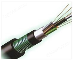 96芯室外光缆铠装层绞式单模光纤GYTA53光缆线双铠双护套