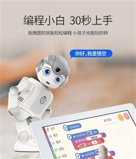 广州优必选智能机器人 儿童机器人 各行各业机器人租赁