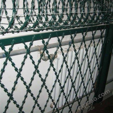 镀锌刀片刺网防护网 防攀爬隔离刺绳滚笼网防护网 质优价廉