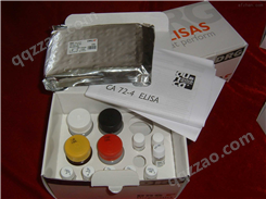 人丁型肝炎IgG（HDV IgG）ELISA试剂盒
